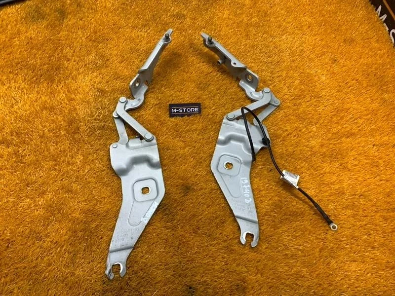 Петля капота Bmw X6 2011 7208628 E71 N55B30A