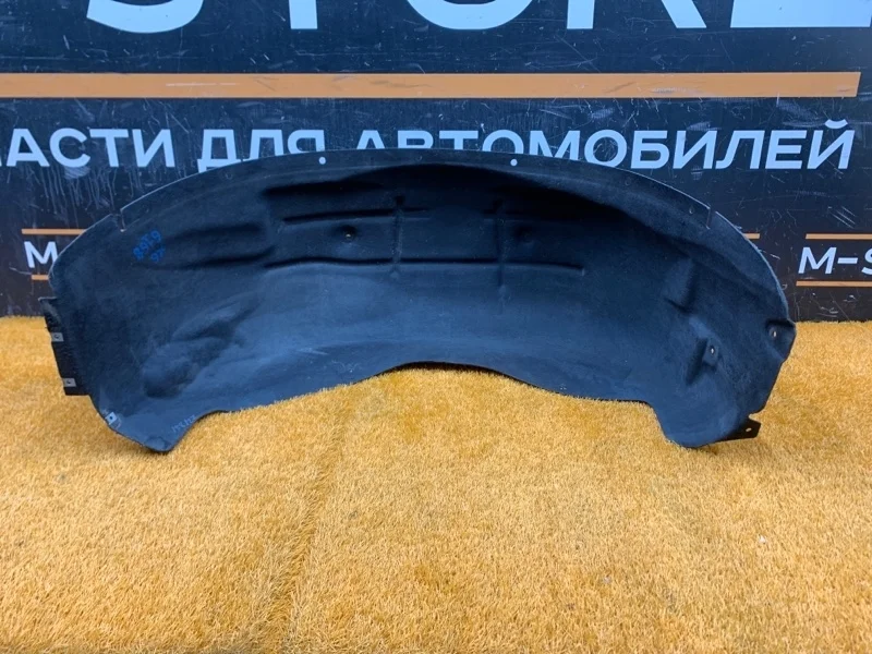 Подкрылок Bmw X6 2011 51717248211 E71 N55B30A, задний левый