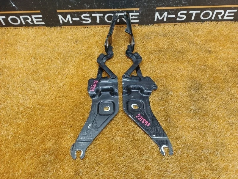 Петля капота Bmw X5 2011 7208627 E70 N55B30A