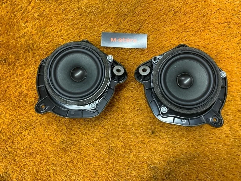 Динамик Bmw X3 2012 65139209183 F25 N47D20C, задний