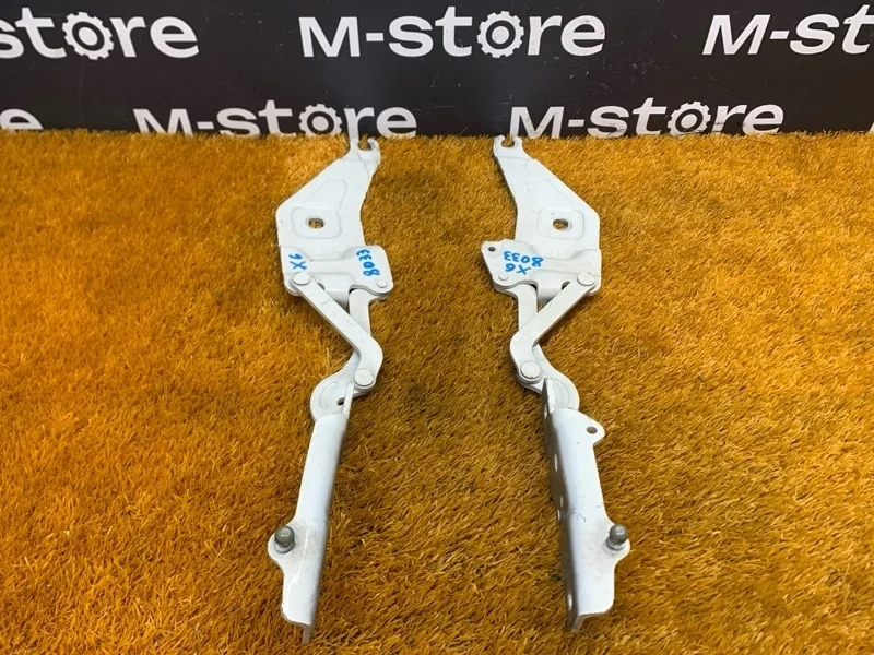 Петля капота Bmw X6 2011 7208627 E72/E71 N63B44A