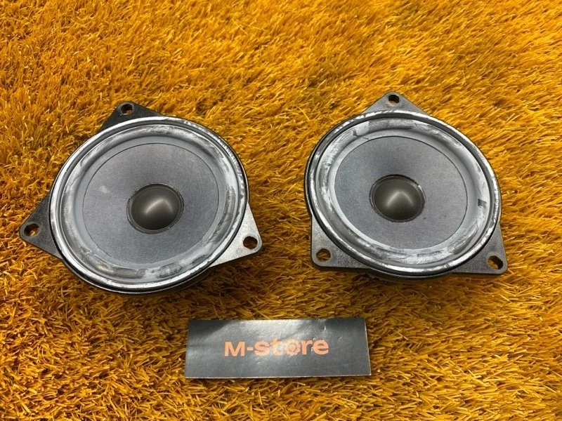 Динамик Bmw 7-Series 2003 65136901319 E65 N62B36A, передний