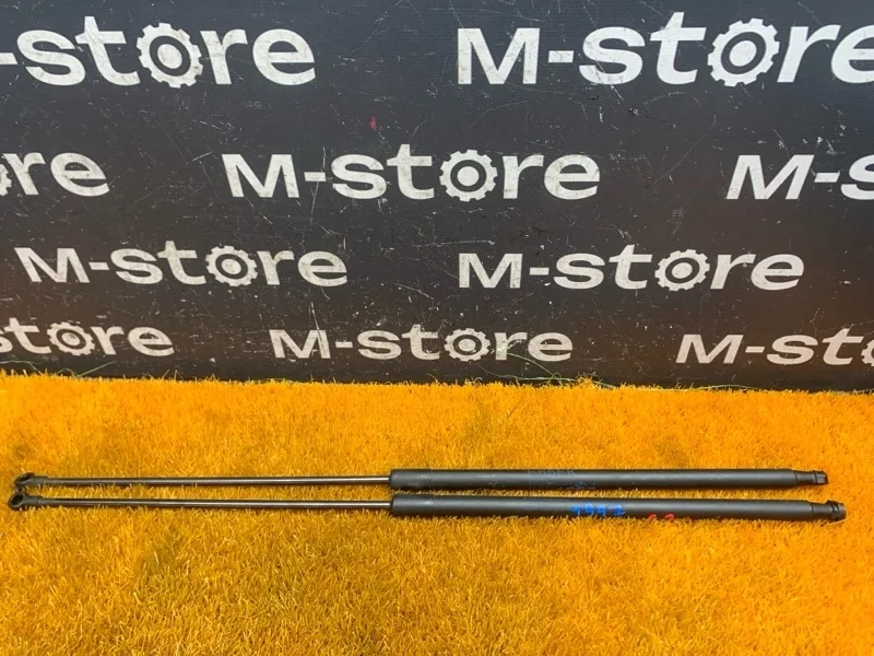 Амортизатор капота Bmw 7-Series 2007 51238240596 E65 N62B48B