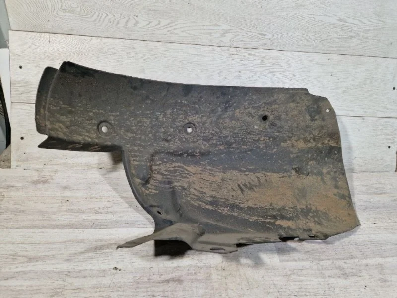 Подкрылок Renault GRAND SCENIC 2007