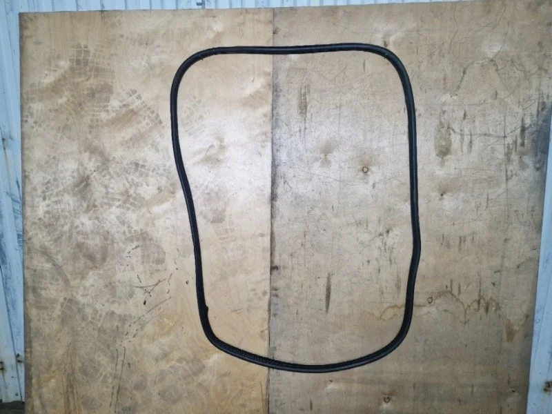 Уплотнитель двери Renault GRAND SCENIC 2007