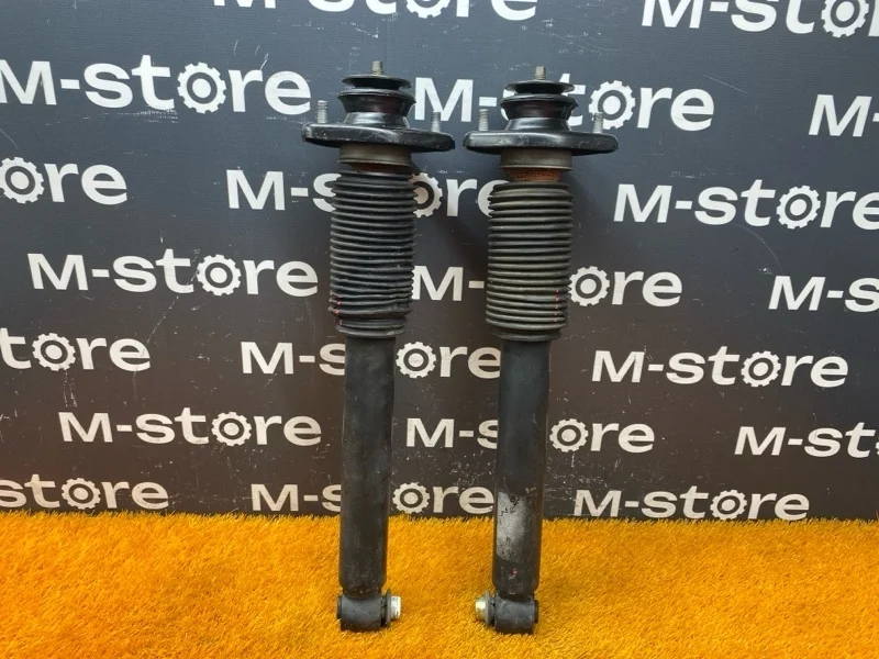 Амортизатор Bmw X5 2004 33526764875 E53 M54B30 (306S3), задний