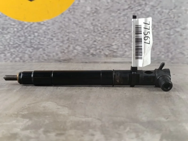 Форсунка топливная SsangYong Actyon 2013 CK