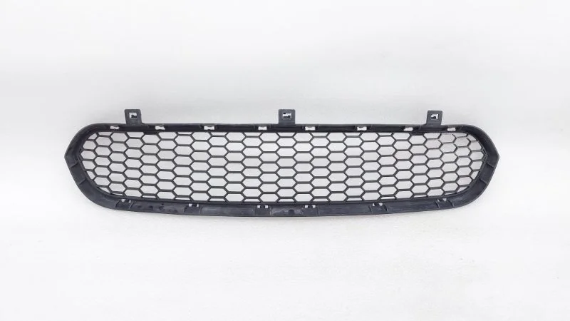 Решетка в бампер BMW X5 2011 E70