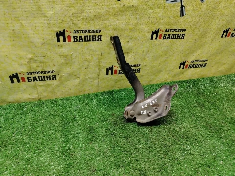 Петля капота Lexus LX570 2016 5341060110 URJ201 3URFE, правая