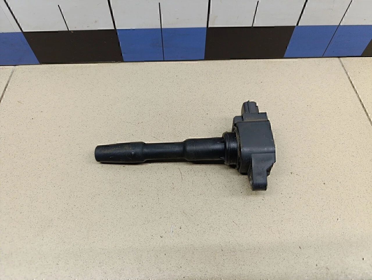 Катушка зажигания Duster 2012>