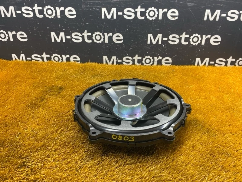 Сабвуфер Land Rover Range Rover Sport 2008 XQA500120 L320 428PS