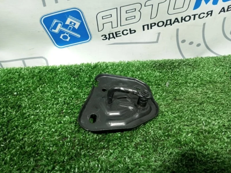 Петля капота Audi A6 Avant 4G0823186 C7 CHV