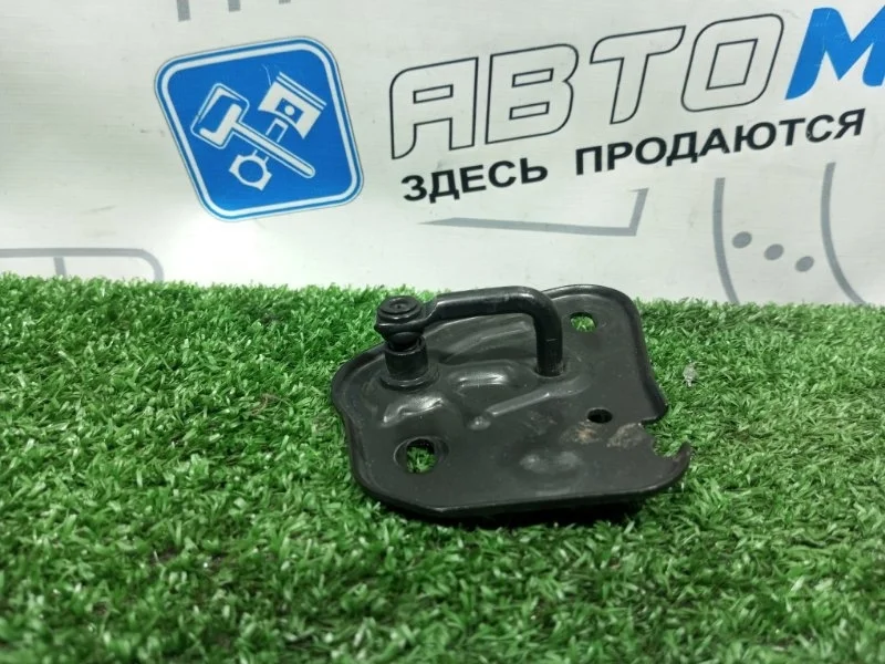 Петля капота Audi A6 Avant 4G0823186 C7 CHV