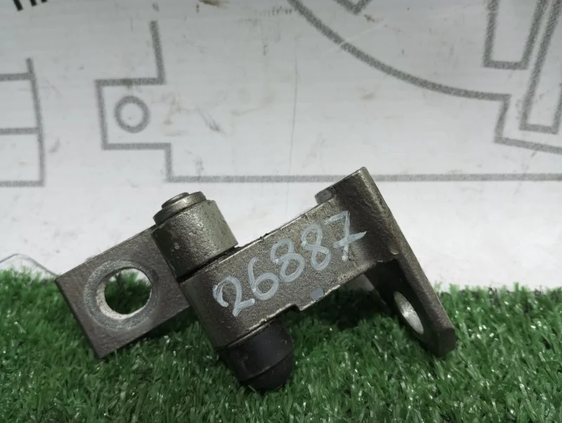 Петля двери задней Volkswagen Passat Cc 3C4833401D B6 CAW, задняя левая