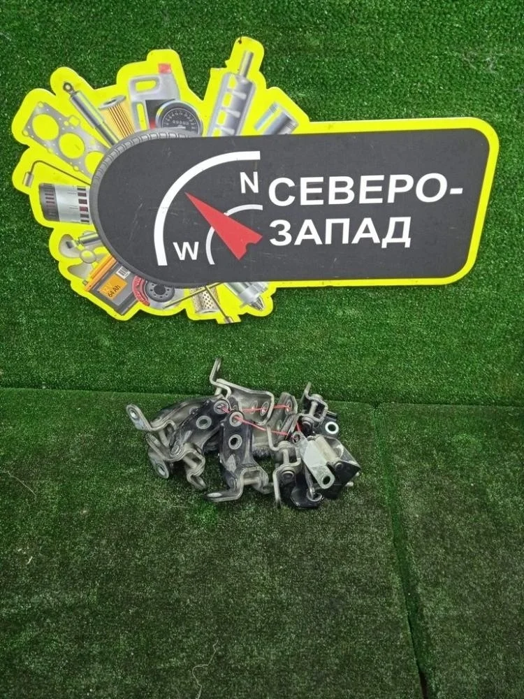 Петля двери Hyundai Palisade 2020 79410B3000 D4HB, задняя левая