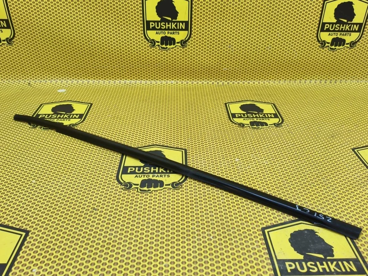 Бархотка внешняя Nissan Murano 2011 828211AC0A Z51 VQ35DE, задняя