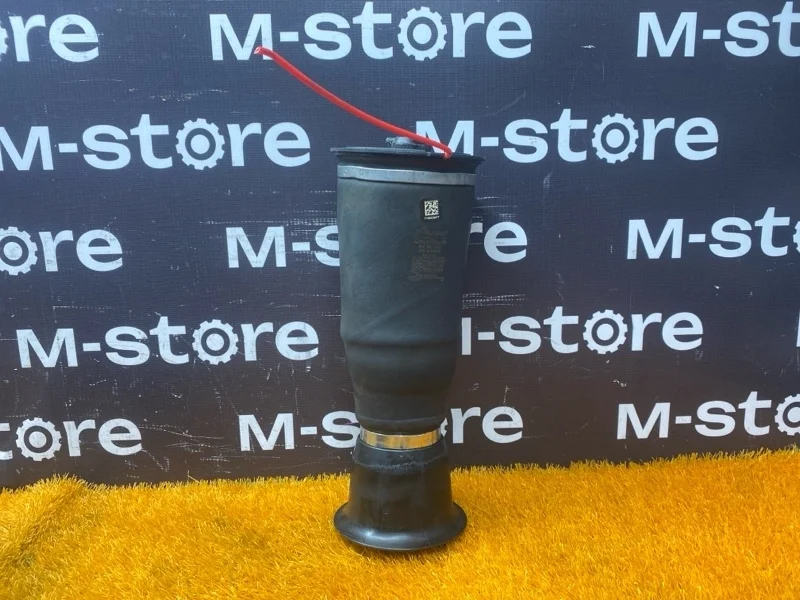 Пневмоподушка Bmw X6 2008 37126790082 E71 N54B30A, задняя левая