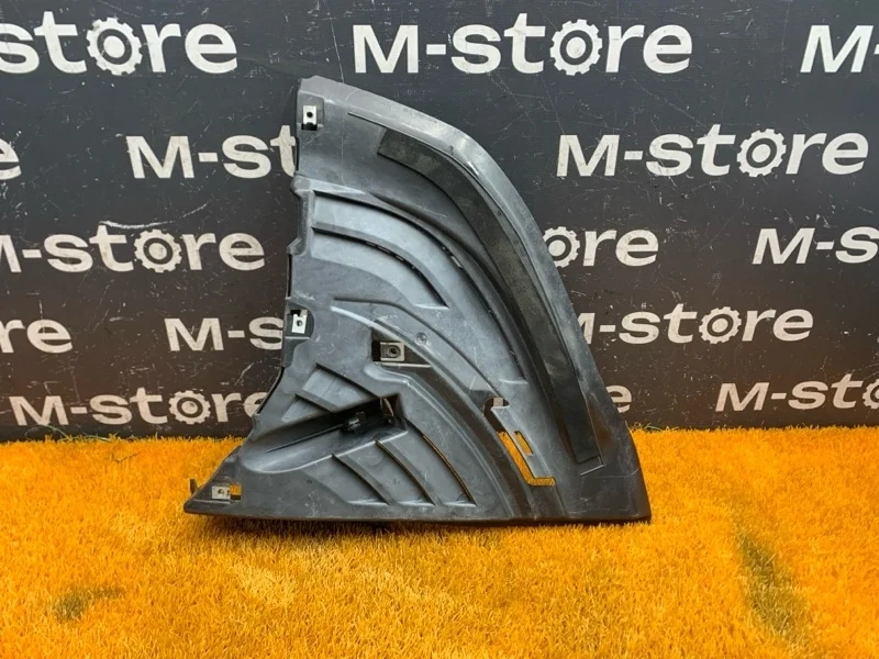 Защита бампера Bmw 7-Series 2007 51717170006 E65 N62B48B, передняя правая