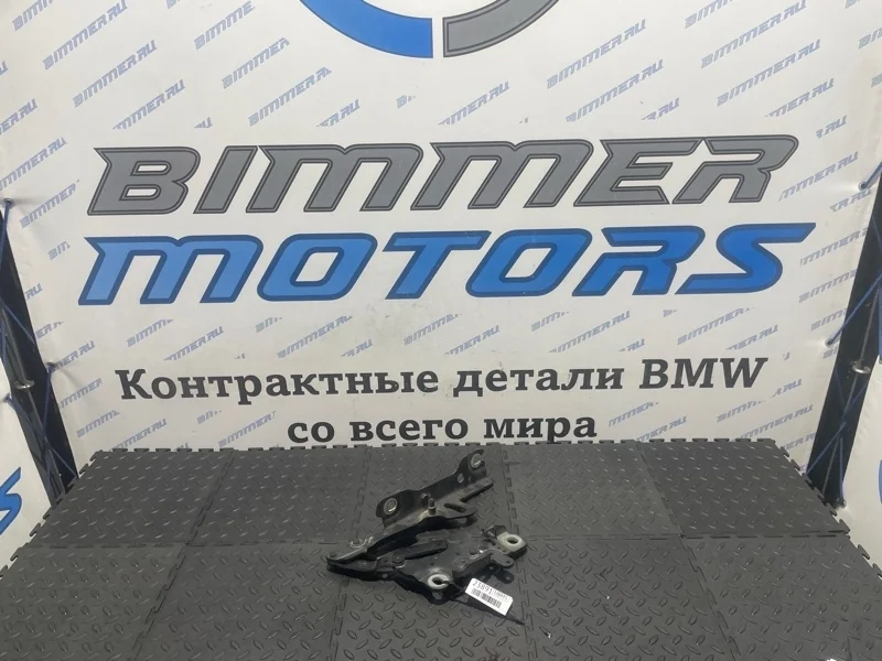 Петля капота BMW 316i F30
