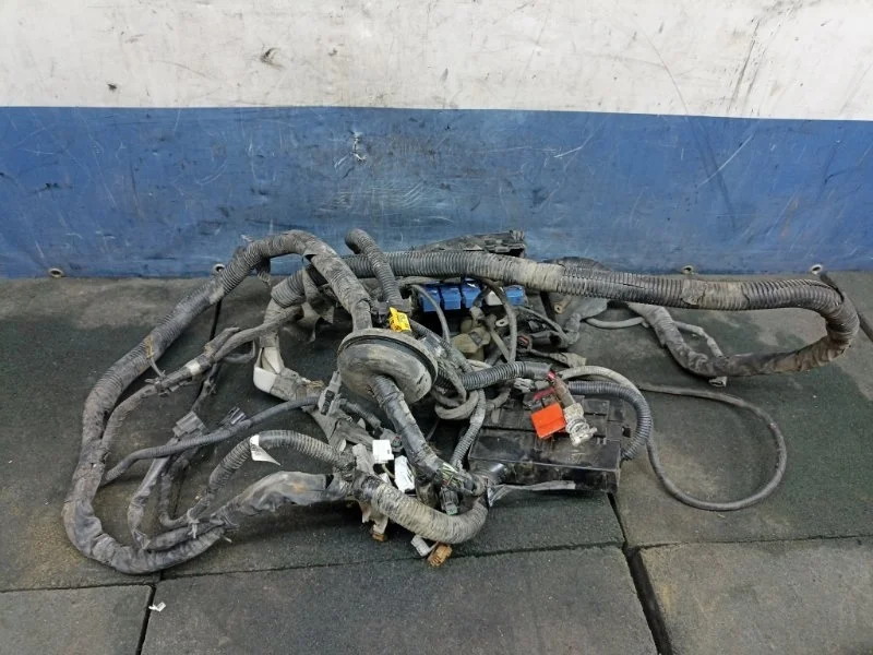 Проводка двигателя Nissan Almera Classic 2006 2401295F0A B10 1.6 QG16DE