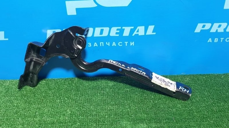 Петля капота правая Citroen C4 2 2011>