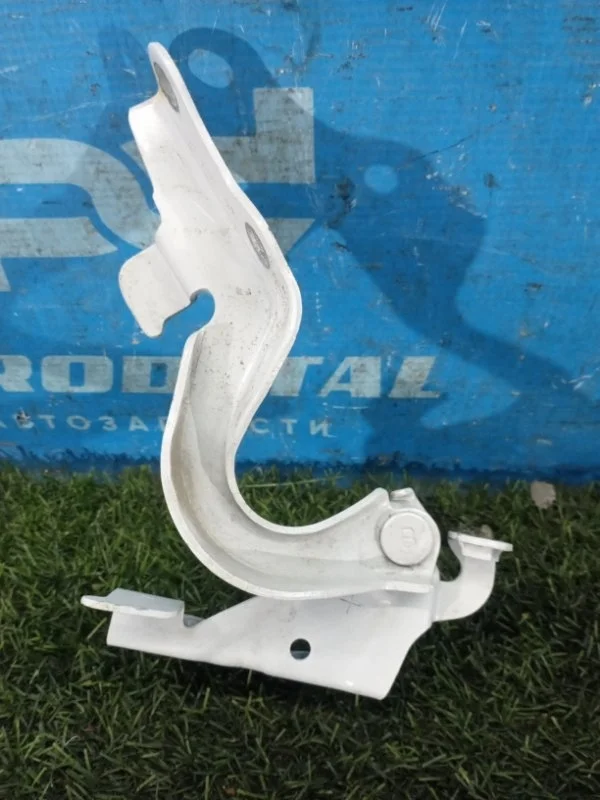 Петля капота правая Toyota Fortuner 1GD-FTV 2015>