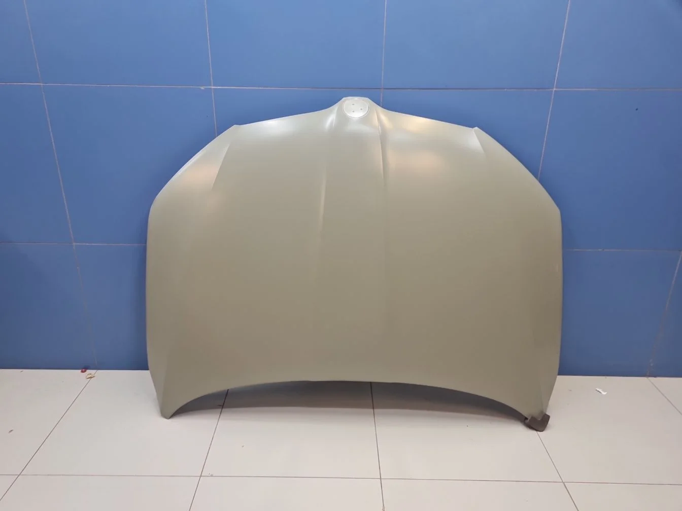 Капот для Skoda Octavia A7 2013-2020