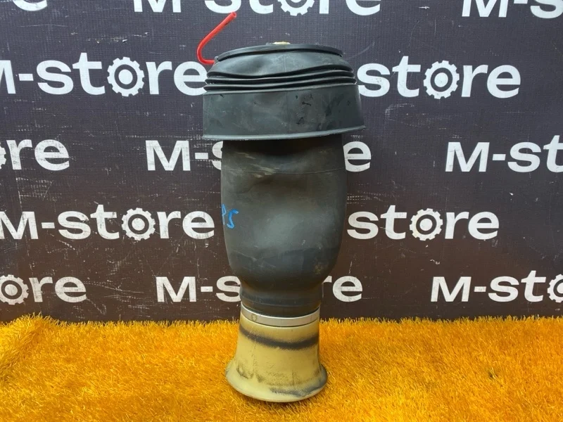 Пневмоподушка Bmw X5 2007 37126790079 E70 N52B30A, задняя