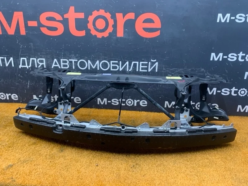 Рамка радиатора Bmw 7-Series 2007 51717022966 E66/E65 N62B48B