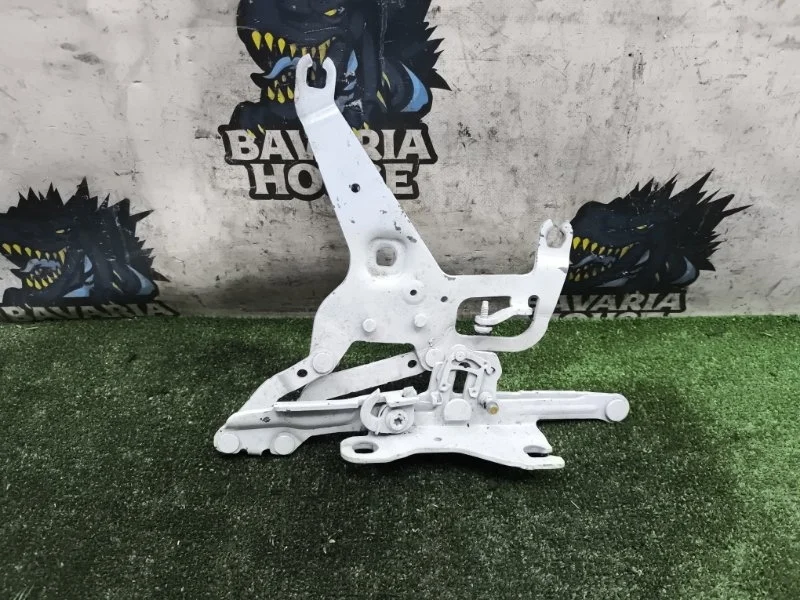 Петля капота BMW X5 2016 41007381782 F15 N57D30A, правая