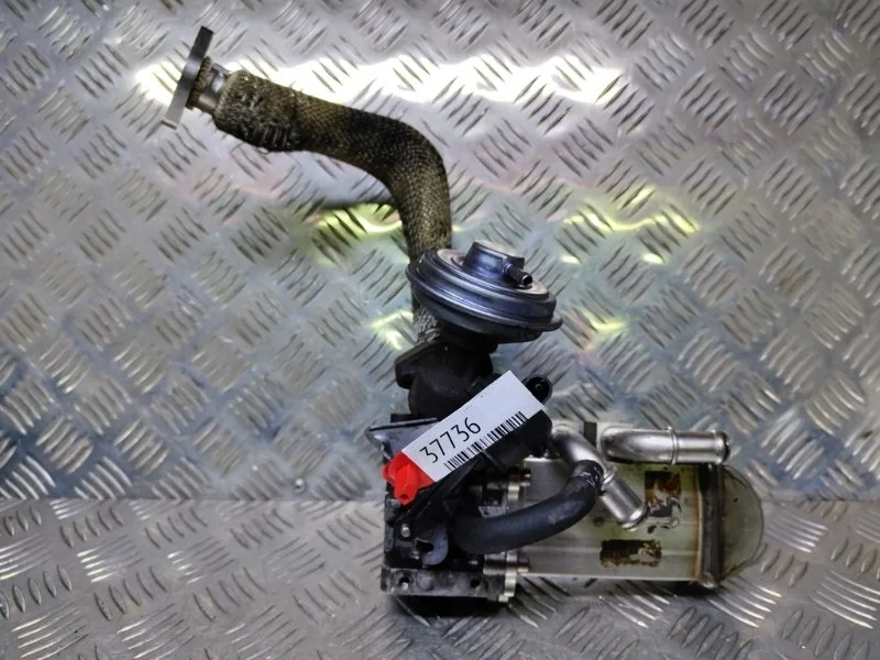 Радиатор системы egr Volkswagen Touareg