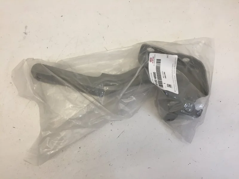 Петля капота Kia Rio 2016-2021 79120H0000 4, передняя правая