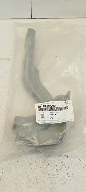 Петля капота Kia Rio 2017-2020 79120H0000 4, передняя правая