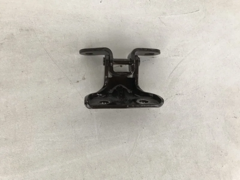 Петля двери Kia Rio 2017-2020 76003A7000 4, передняя левая