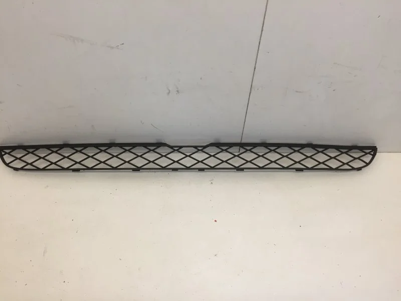 Решётка бампера Bmw X5 2006-2013 51117159597 E70, передняя