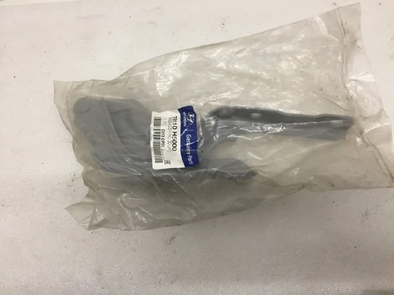 Петля капота Hyundai Solaris 2017-2023 79110H5000 2, передняя левая