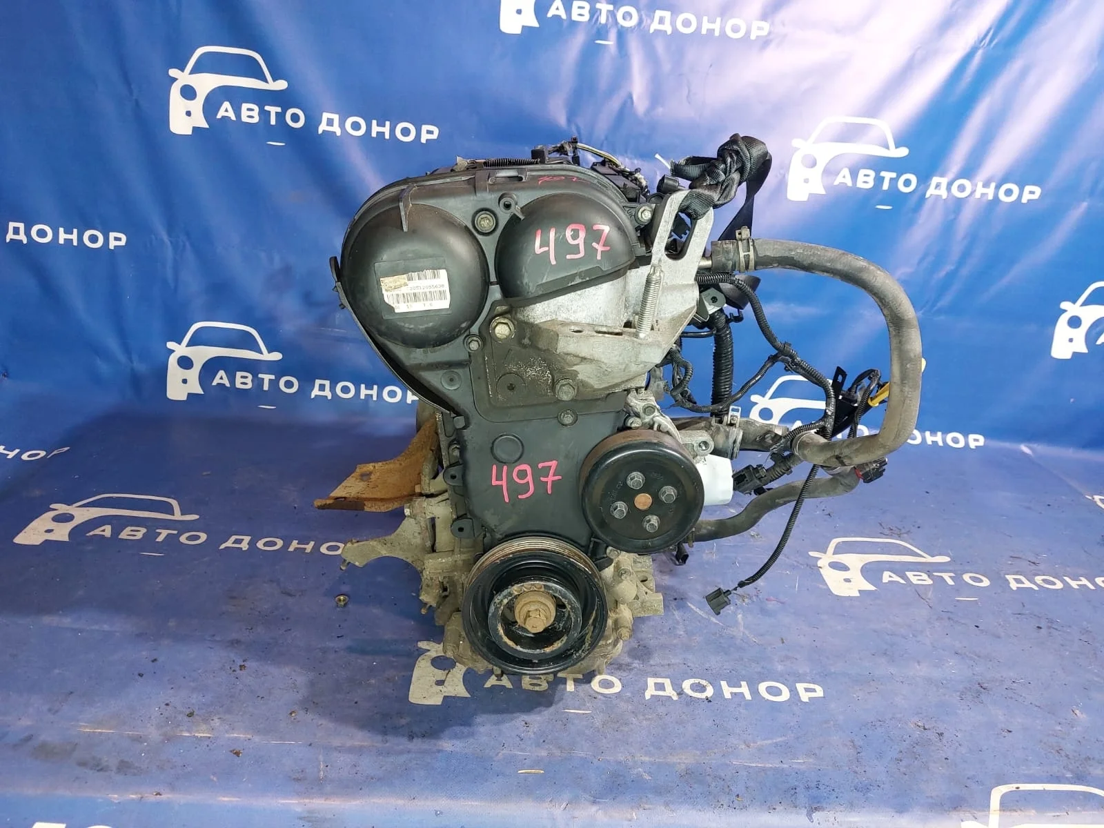 двигатель FORD FOCUS CB8 IQDB