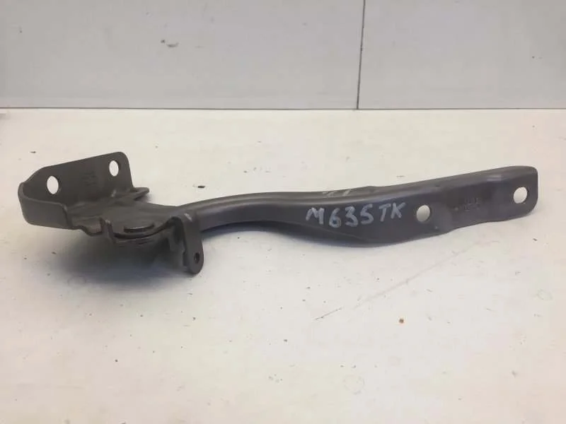 Петля капота Kia Rio 2017-2020 79110H0000 4, передняя левая