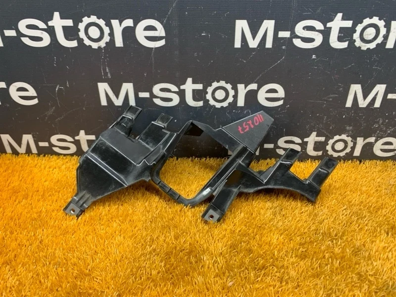 Кронштейн фары Bmw 7-Series 2007 63117162089 E66/E65 N62B48B, левый