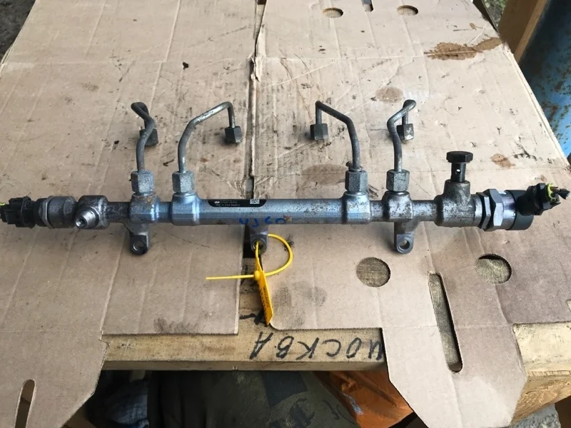 Топливная рейка KIA Carnival D4HB