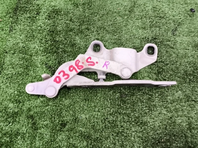 Петля капота BMW 1 2006 41617210674 E87 N52B30AF, правая