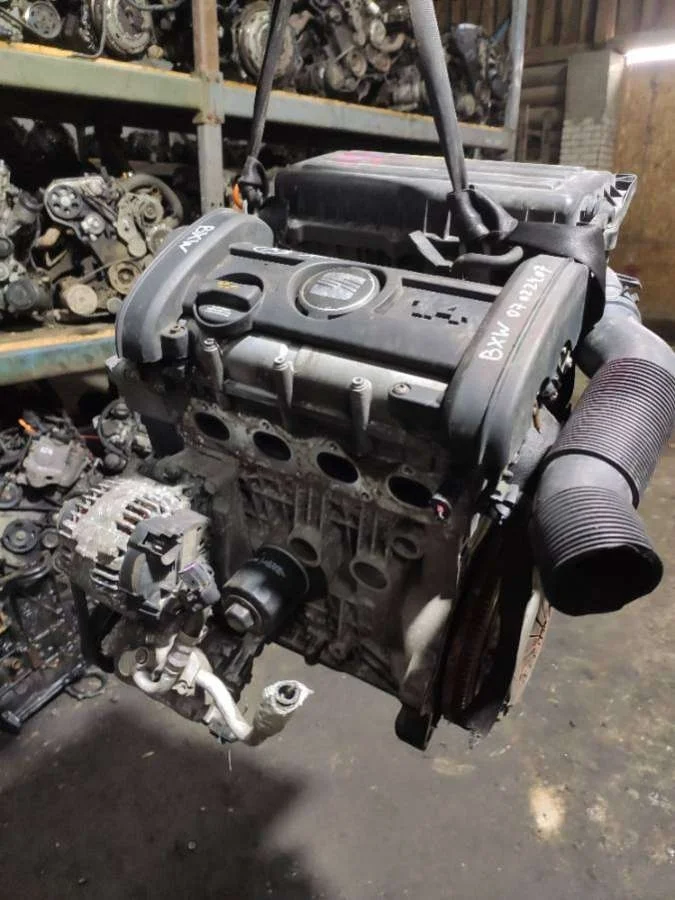 Двигатель BXW Seat Ibiza 3 1.4 Бензин
