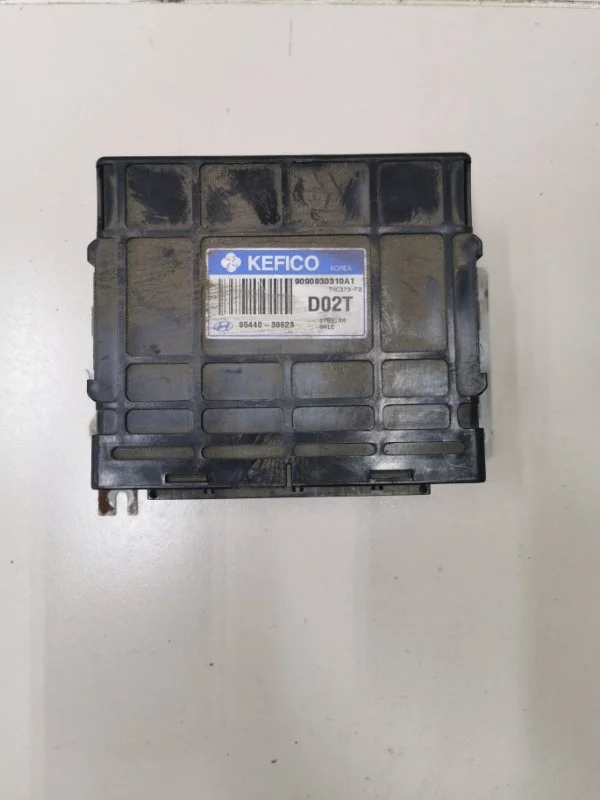 Блок управления АКПП Hyundai Santa Fe 1 SM G6BA