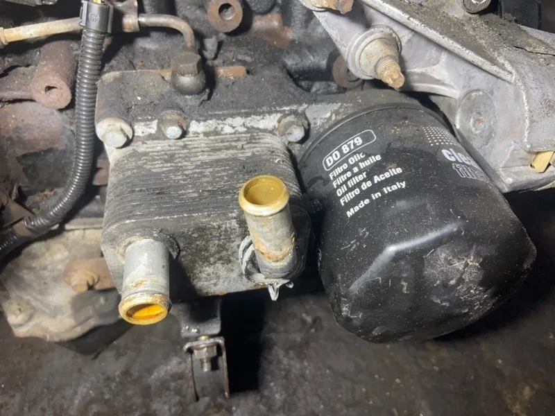 Радиатор масляный Ford Focus 1 (98-05) ХЕЧБЕК 1.8L