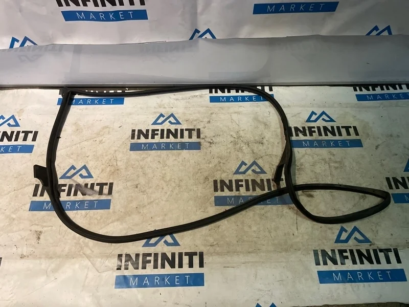 Резинка двери уплотнительная передняя левая