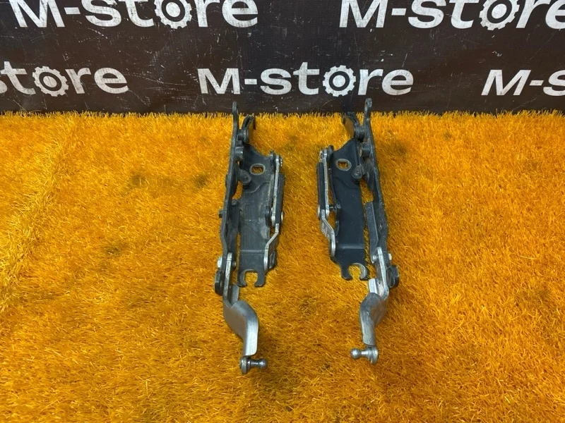 Петля капота Bmw 7-Series 2009 51237201276 F02 N63B44A