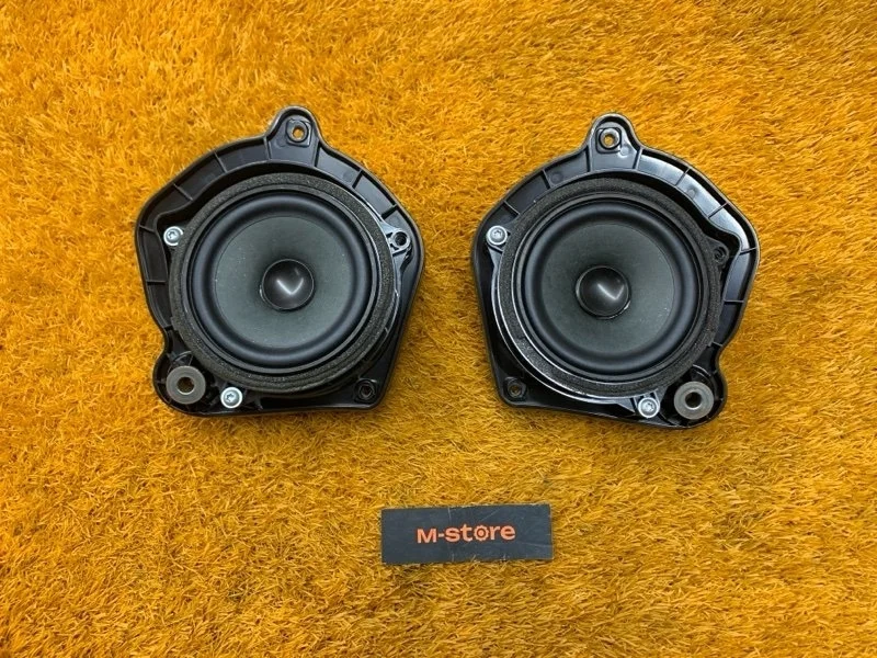 Динамик Bmw X3 2012 65139209183 F25 N20B20A, задний