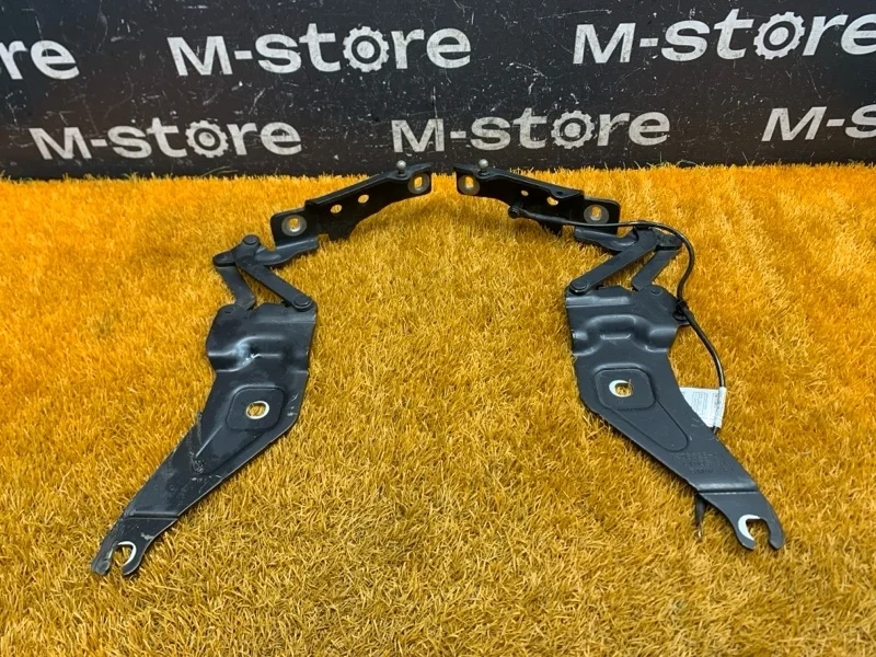 Петля капота Bmw X5 2011 7208627 E70 N55B30A