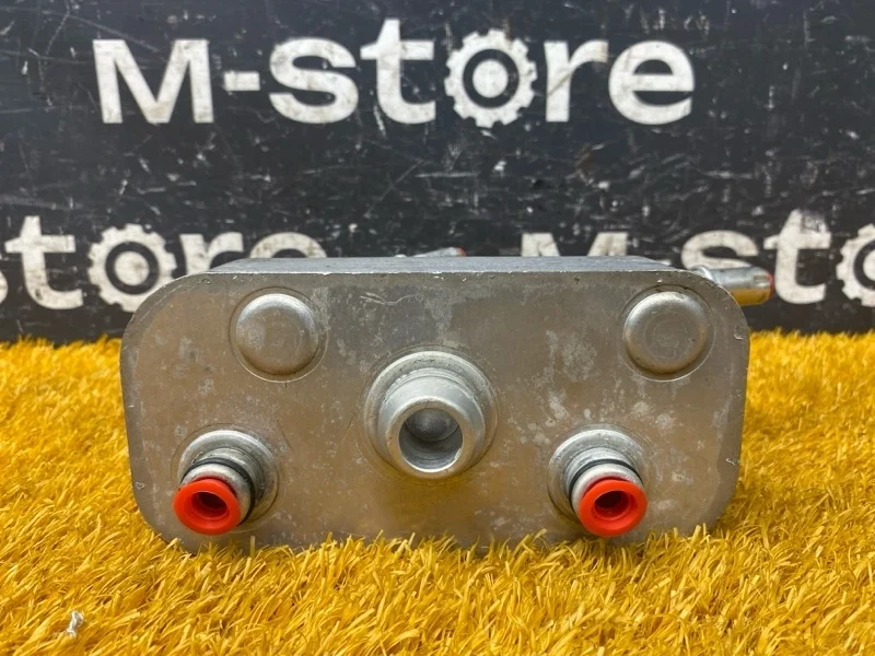 Теплообменник Bmw 3-Series 2004 7505826 E46 M54B22 (226S1)