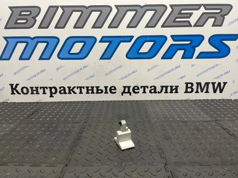 Петля двери Bmw X6 41527200241 E71 N55B30A, задняя левая